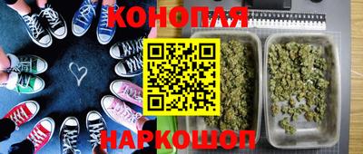 PSILOCYBIN Кунгур