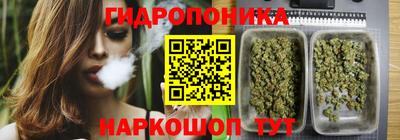 PSILOCYBIN Кунгур